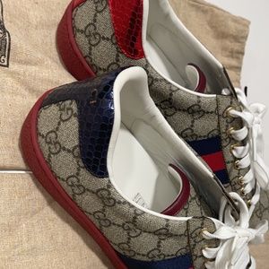 Ace Gucci sneakers (unisex) woman’s Gucci belt